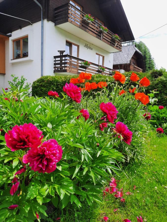 Haus Alpina Appartement Weissensee Buitenkant foto