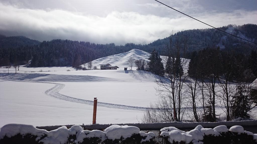 Haus Alpina Appartement Weissensee Buitenkant foto
