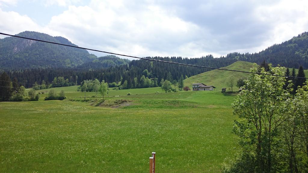 Haus Alpina Appartement Weissensee Buitenkant foto