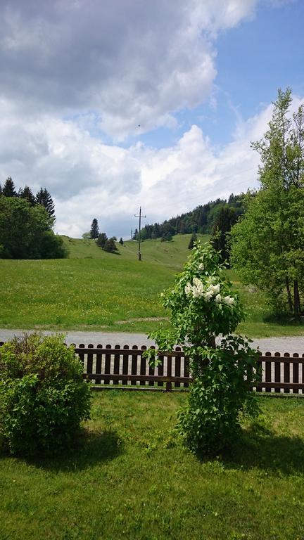 Haus Alpina Appartement Weissensee Buitenkant foto
